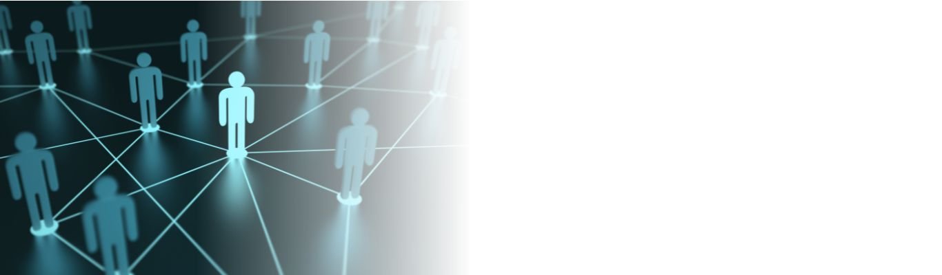 Búsqueda de empleo y networking.